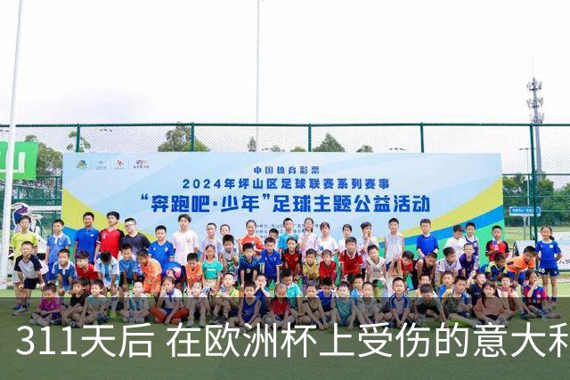 311天后 在欧洲杯上受伤的意大利国脚终于复出了
